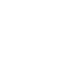 icon0